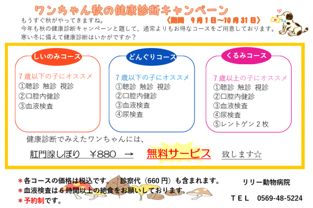 病院からのお知らせ│愛知県知多郡阿久比町・リリー動物病院│ペットの